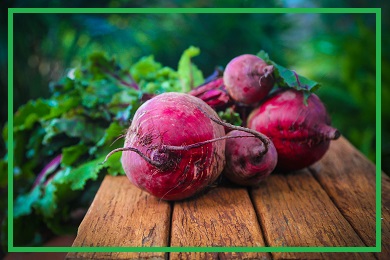 Kolekcja buraka Kolekcja buraka