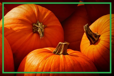 Kolekcja dyni Kolekcja dyni