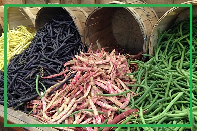 Kolekcja fasoli Kolekcja fasoli