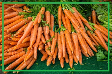 Kolekcja marchewki Kolekcja marchewki