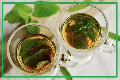 Rośliny na herbaty Rośliny na herbaty