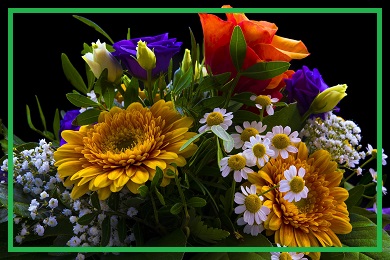 Na kwiat cięty Na kwiat cięty