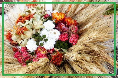 Rośliny do suszenia - na bukiety, wianki, wieńce Rośliny do suszenia - na bukiety, wianki, wieńce