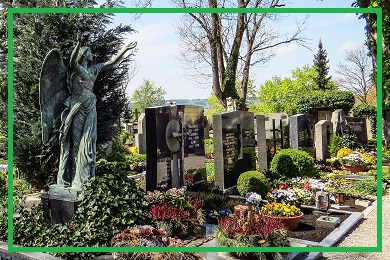 Rośliny na cmentarz, do ozdoby nagrobków Rośliny na cmentarz, do ozdoby nagrobków