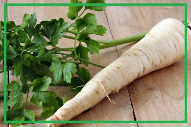 Kolekcja pietruszki Kolekcja pietruszki