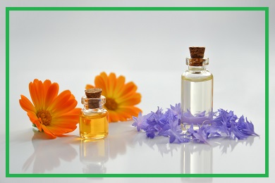 Rośliny na olejki eteryczne Rośliny na olejki eteryczne