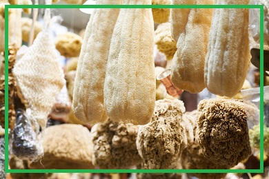 Rośliny do tworzenia przedmiotów Rośliny do tworzenia przedmiotów