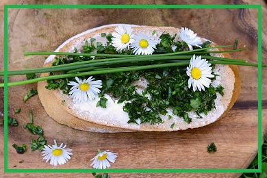 Kwiaty jadalne Kwiaty jadalne