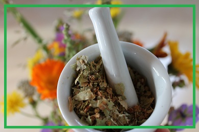 Rośliny lecznicze Rośliny lecznicze