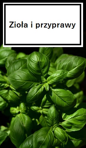 Zioła i przyprawy